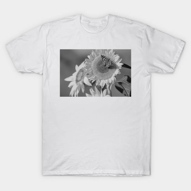 American Painted Lady Butterfly On Sunflower T-Shirt by AinisticGina